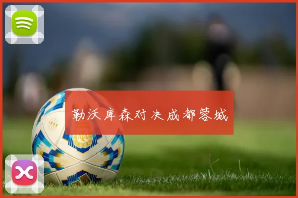 勒沃库森对决成都蓉城