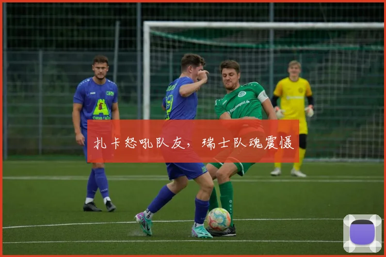 扎卡怒吼队友，瑞士队魂震慑