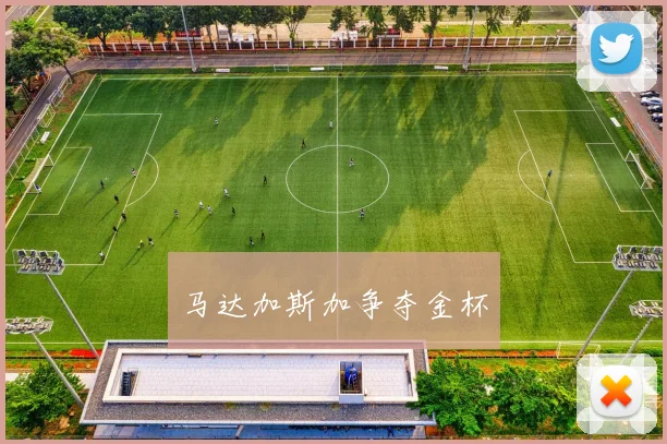 马达加斯加争夺金杯