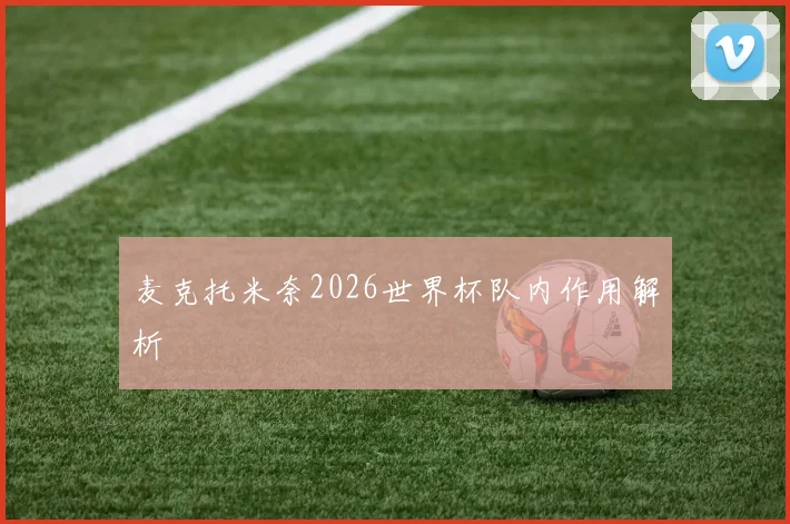 麦克托米奈2026世界杯队内作用解析