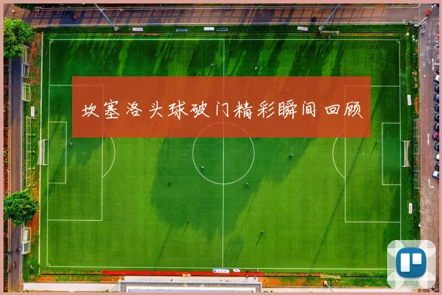 坎塞洛头球破门精彩瞬间回顾