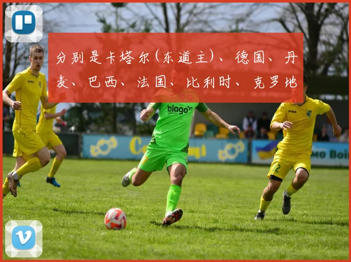 分别是卡塔尔(东道主)、德国、丹麦、巴西、法国、比利时、克罗地亚、西班牙、塞尔维亚、英格兰、瑞士、荷兰和阿根廷