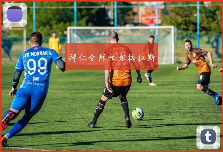 拜仁会师帕尔梅拉斯