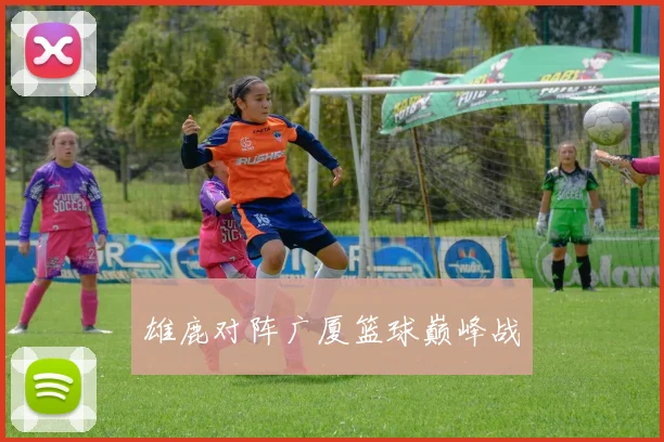 雄鹿对阵广厦篮球巅峰战