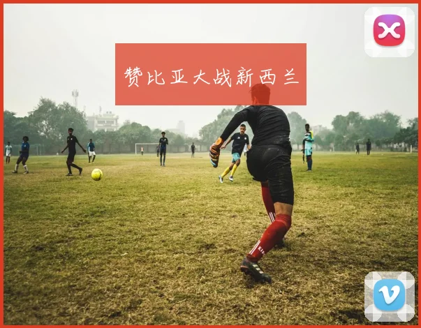 赞比亚大战新西兰