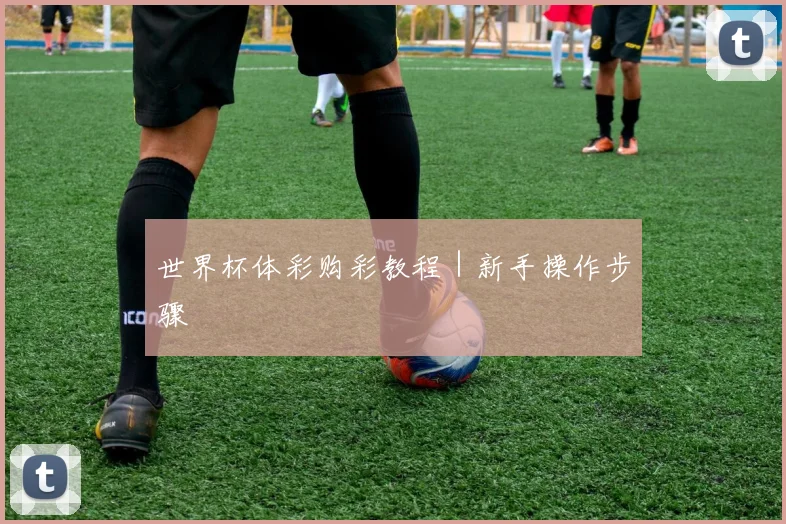 世界杯体彩购彩教程｜新手操作步骤