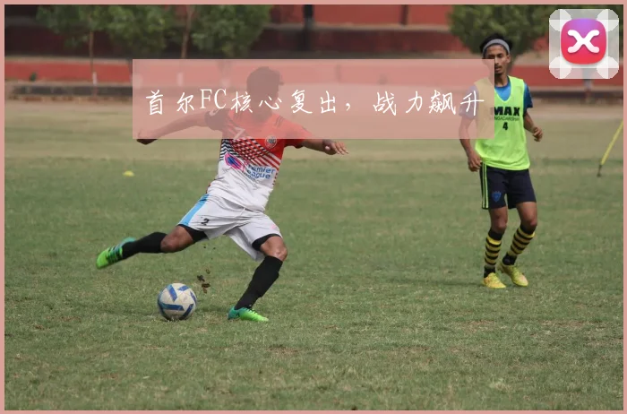 首尔FC核心复出，战力飙升