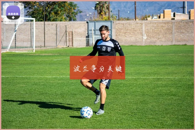波兰争分关键
