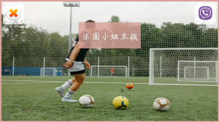 法国小组末战