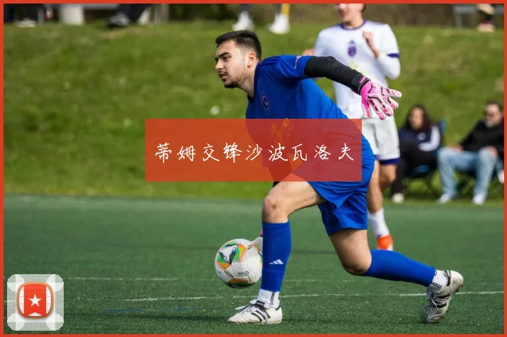 蒂姆交锋沙波瓦洛夫
