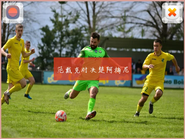 范戴克对决楚阿梅尼