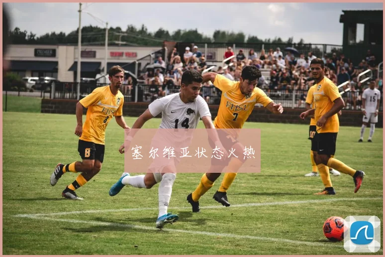 塞尔维亚状态火热