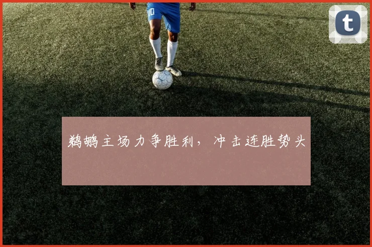 鹈鹕主场力争胜利，冲击连胜势头