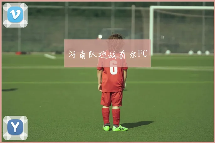 河南队迎战首尔FC