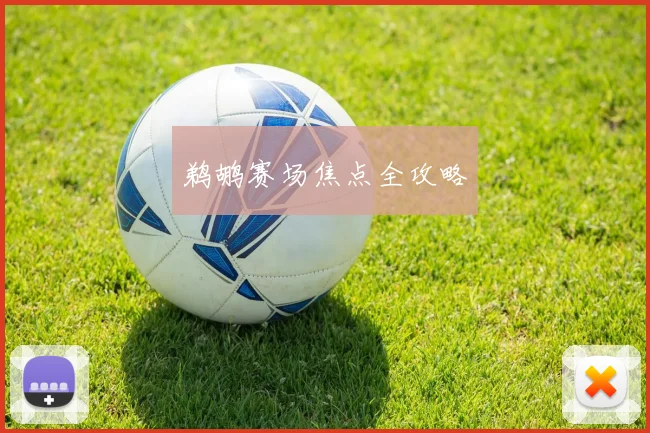 鹈鹕赛场焦点全攻略