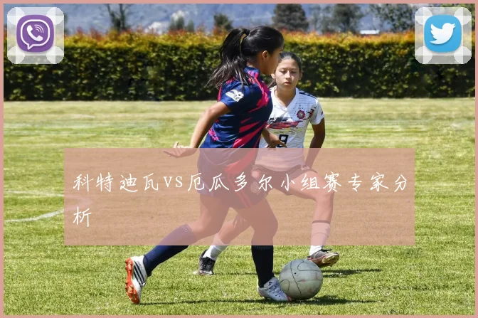 科特迪瓦vs厄瓜多尔小组赛专家分析