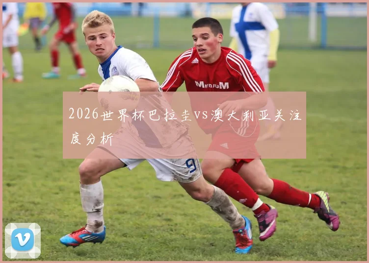 2026世界杯巴拉圭vs澳大利亚关注度分析