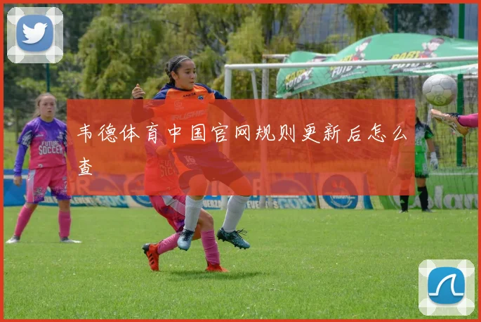 韦德体育中国官网规则更新后怎么查