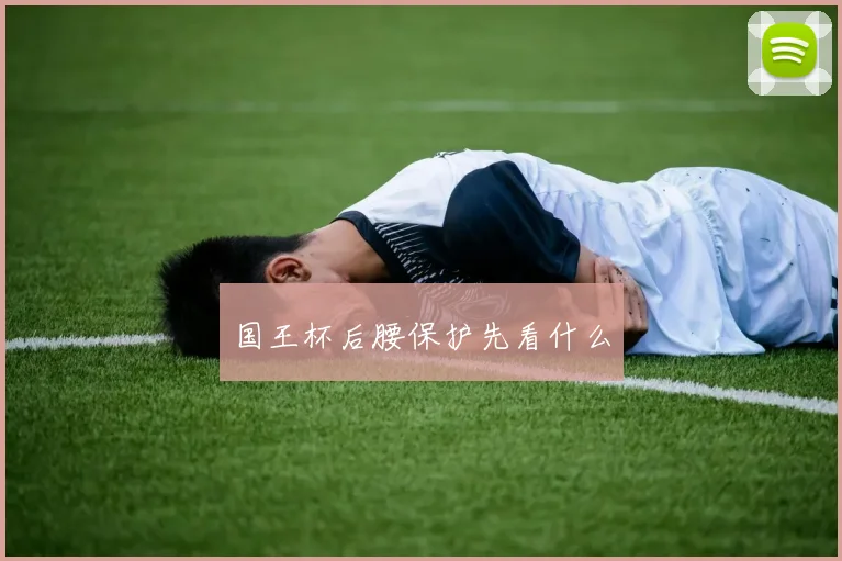 国王杯后腰保护先看什么